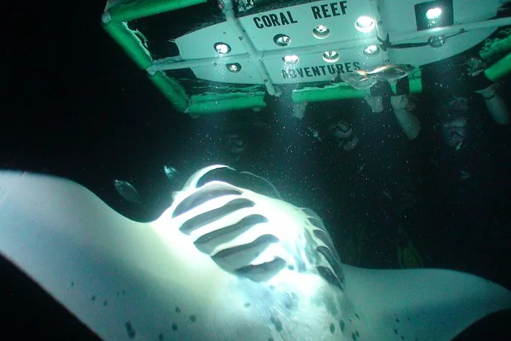Kona’s Best Manta Ray Night Snorkel Small Group Experience — photo 2