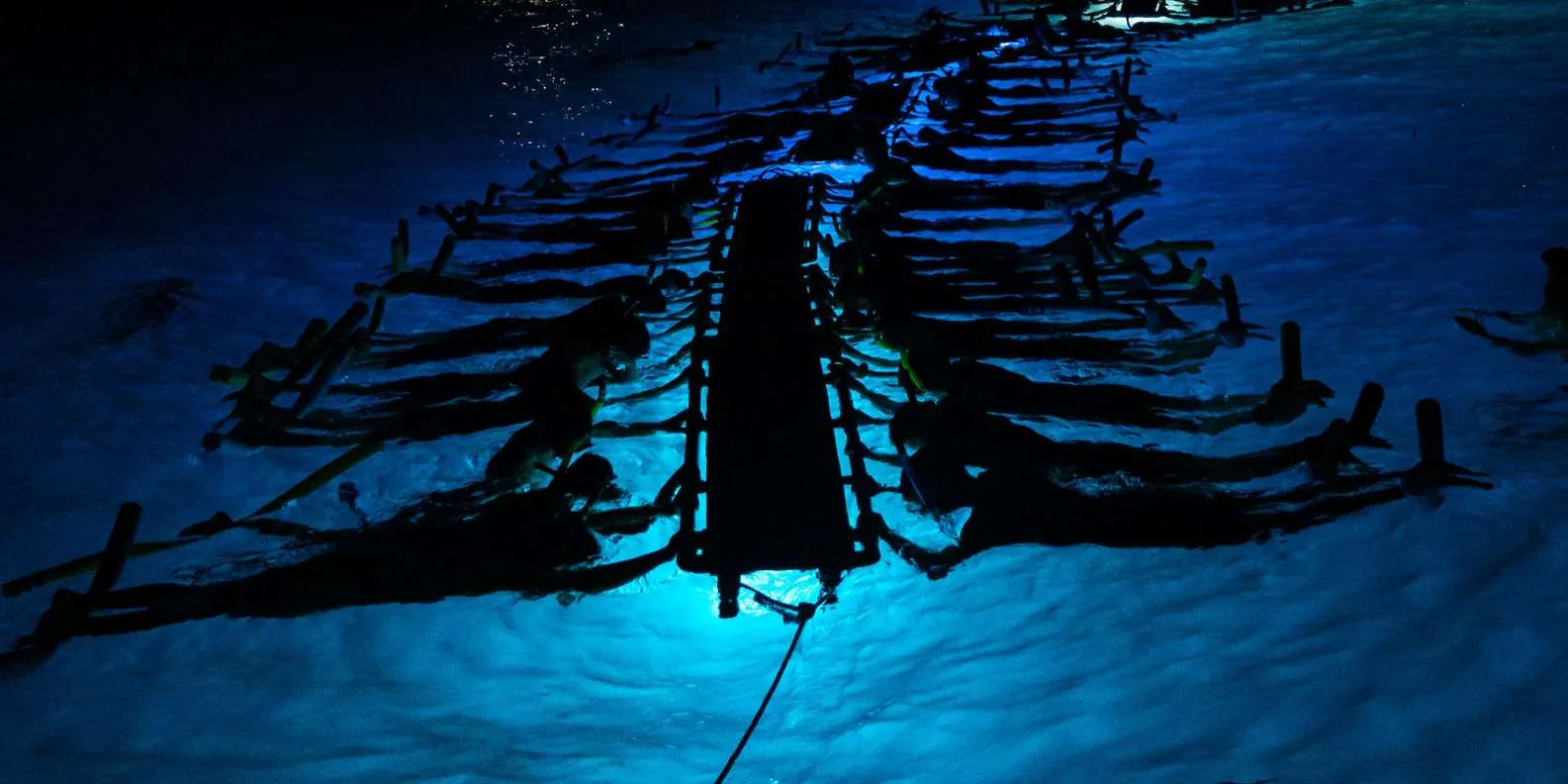 Sea Paradise tour photograph 4