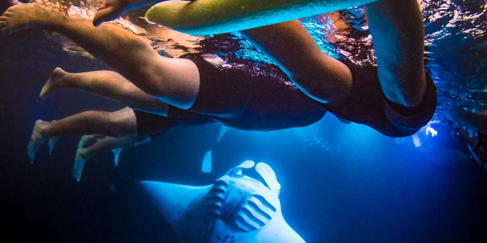 Manta Ray Snorkel in Kailua-Kona with Hot Cocoa