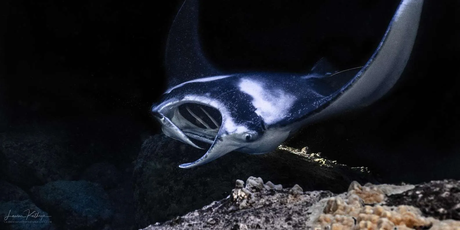 Snorkel Big Island tour photograph 1