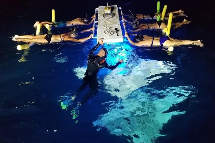 KONA Manta Ray Night Snorkel - FREE re-ride if no Sightings — photo 1