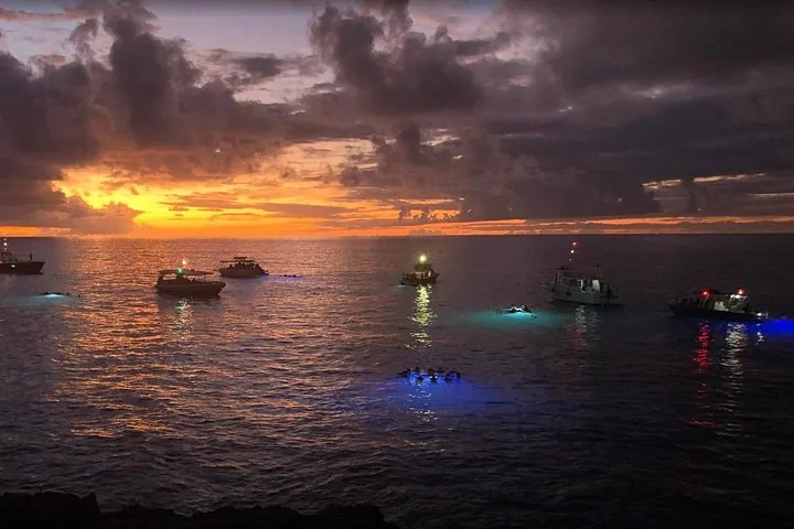 KONA Manta Ray Night Snorkel - FREE re-ride if no Sightings — photo 5